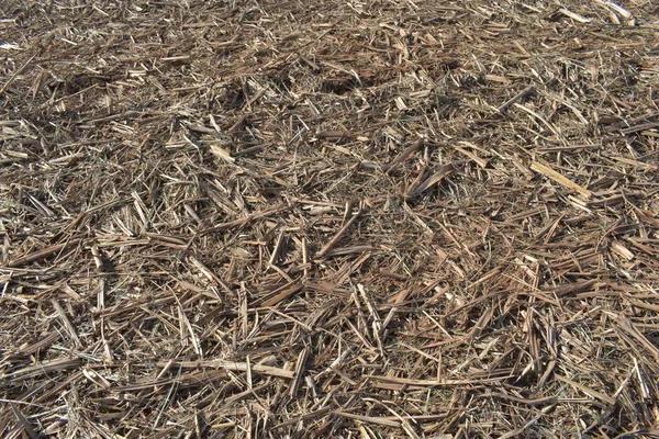 Reliable Mulch Delivery Morris County Order Today