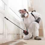 Expert Henrico Mold Remediation Service for Residential Properties
