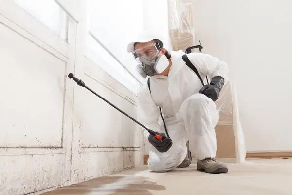 Expert Henrico Mold Remediation Service for Residential Properties