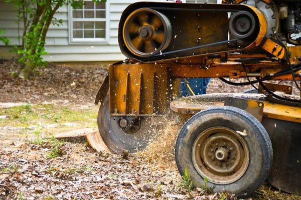 Tree Removal Service Mobile for Storm Damaged Trees