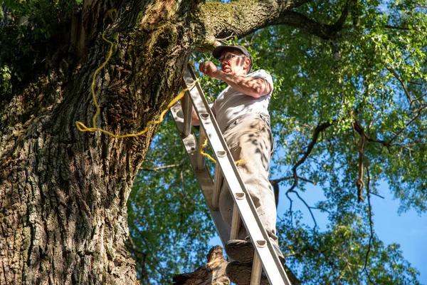 Trusted Tree Removal Company Near Me