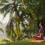 Why Botanical Products Are Becoming Popular in Modern Self-Care Routines